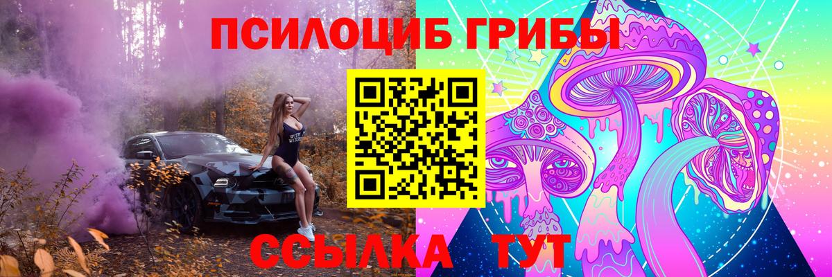 Галлюциногенные грибы прущие грибы  Галлюциногенные грибы MAGIC MUSHROOMS  Вход с VPN  Камень-на-Оби 