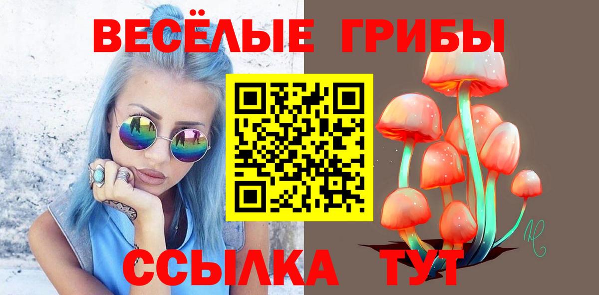 Псилоцибиновые грибы ЛСД Камень-на-Оби